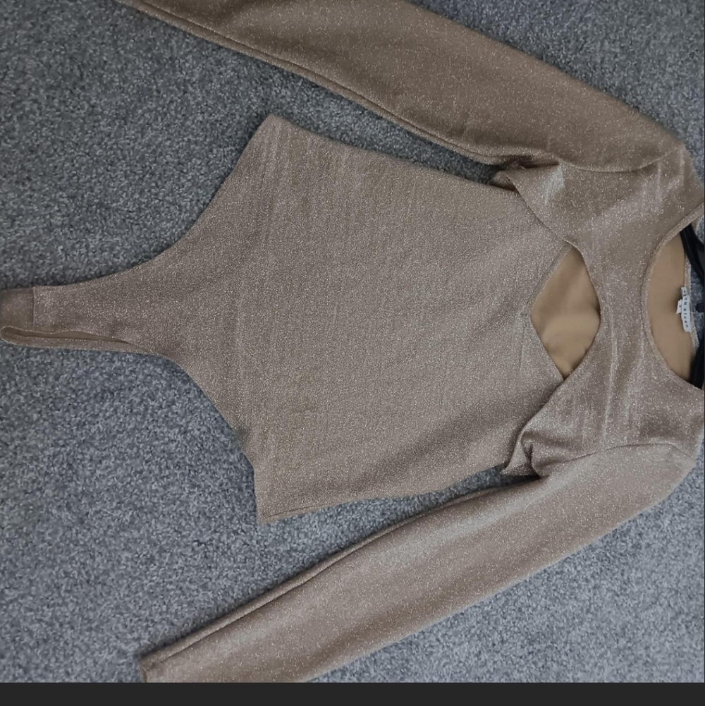 Haute Monde Shimmer Bodysuit - Brown